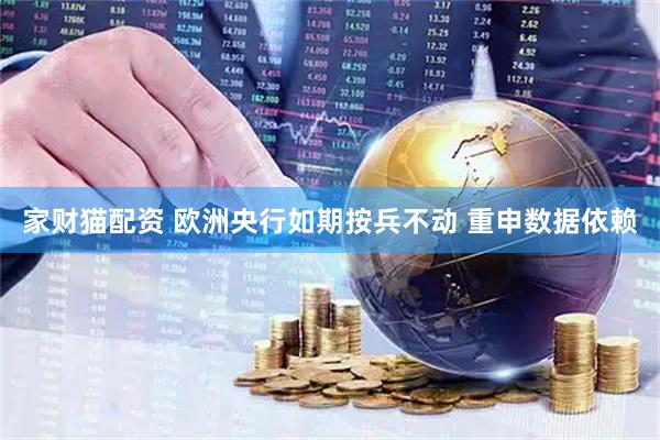 家财猫配资 欧洲央行如期按兵不动 重申数据依赖