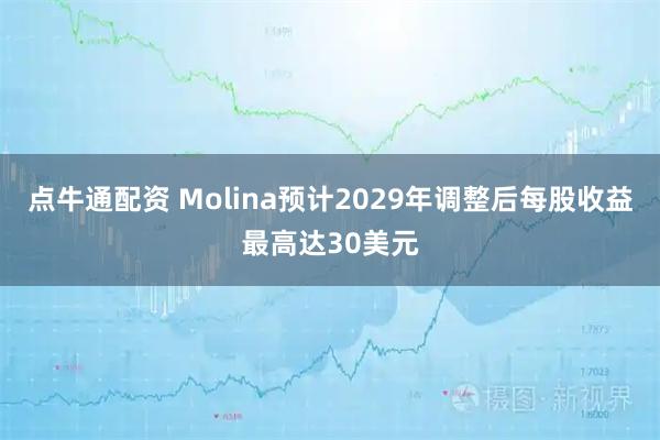 点牛通配资 Molina预计2029年调整后每股收益最高达30美元